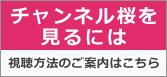 チャンネル桜 視聴方法のご案内